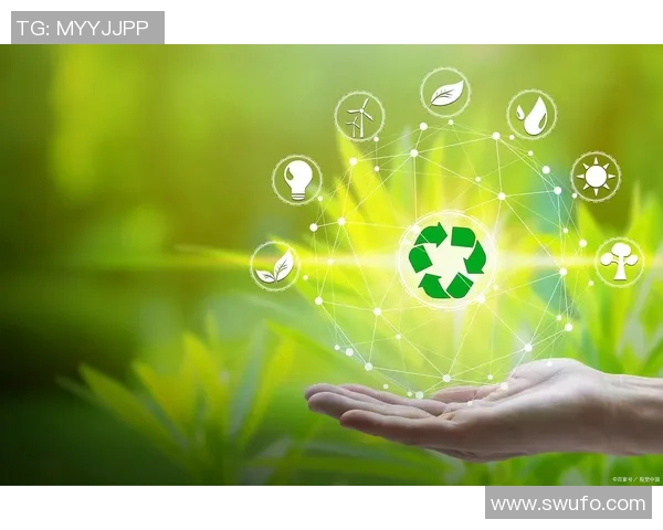 推动可持续体育发展助力绿色未来与健康生活方式的结合与创新