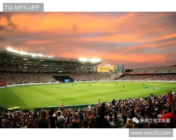 2023年跳水世界杯参赛名单揭晓各国顶尖选手齐聚一堂争夺荣誉